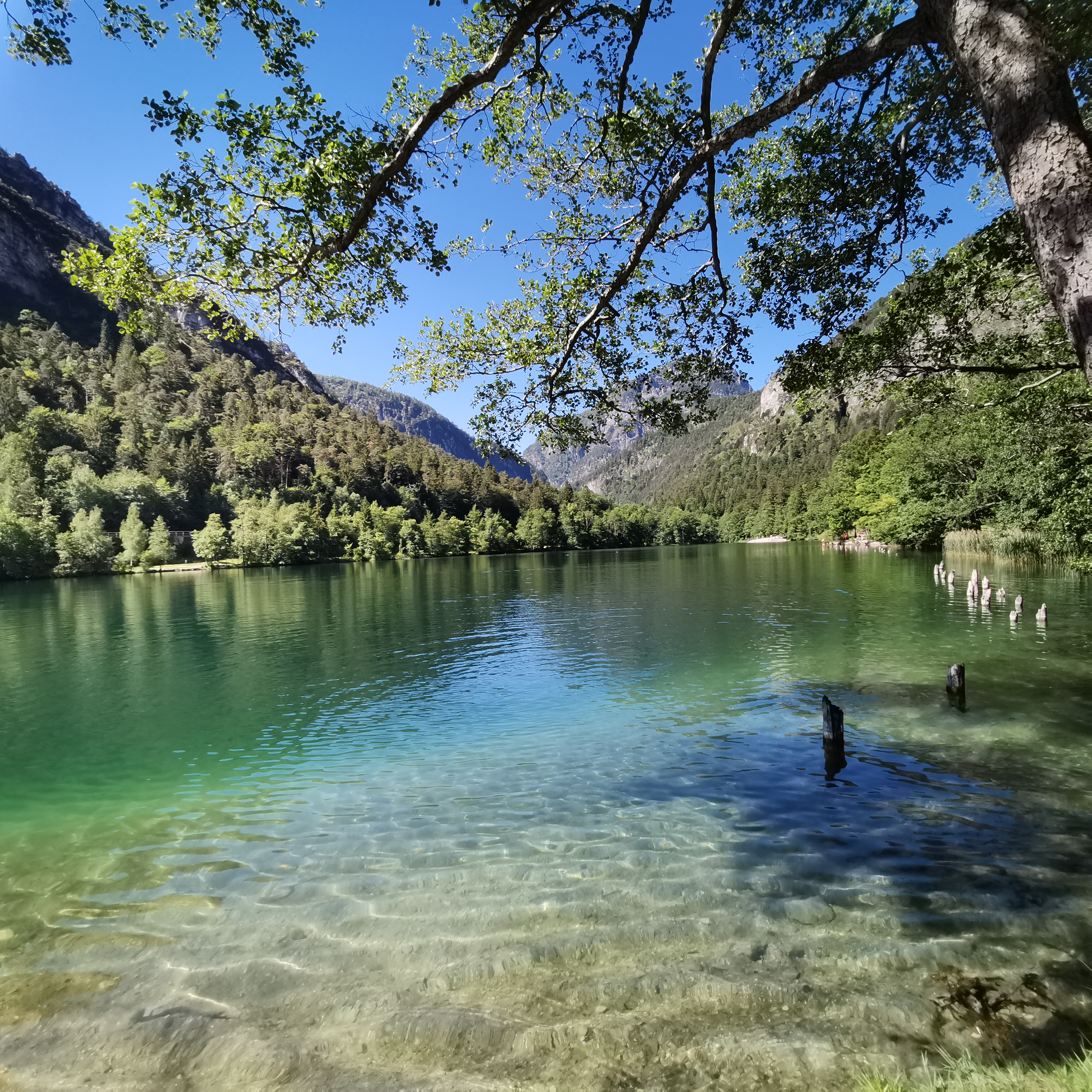 Bild 6 Oechsner Thumsee in Bad Reichenhall