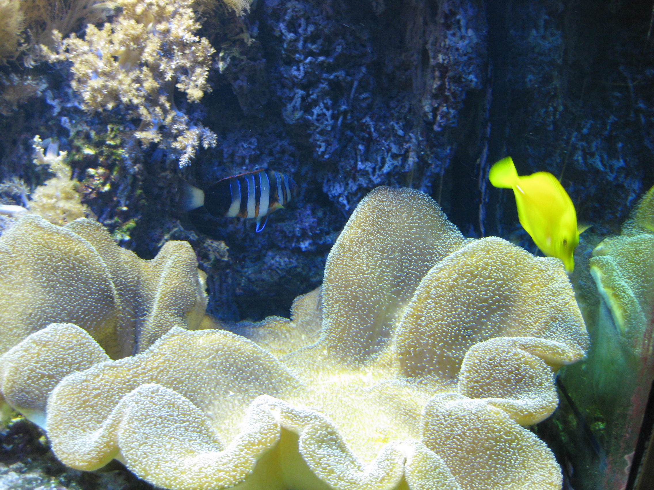 Aquarium in Hellabrunn