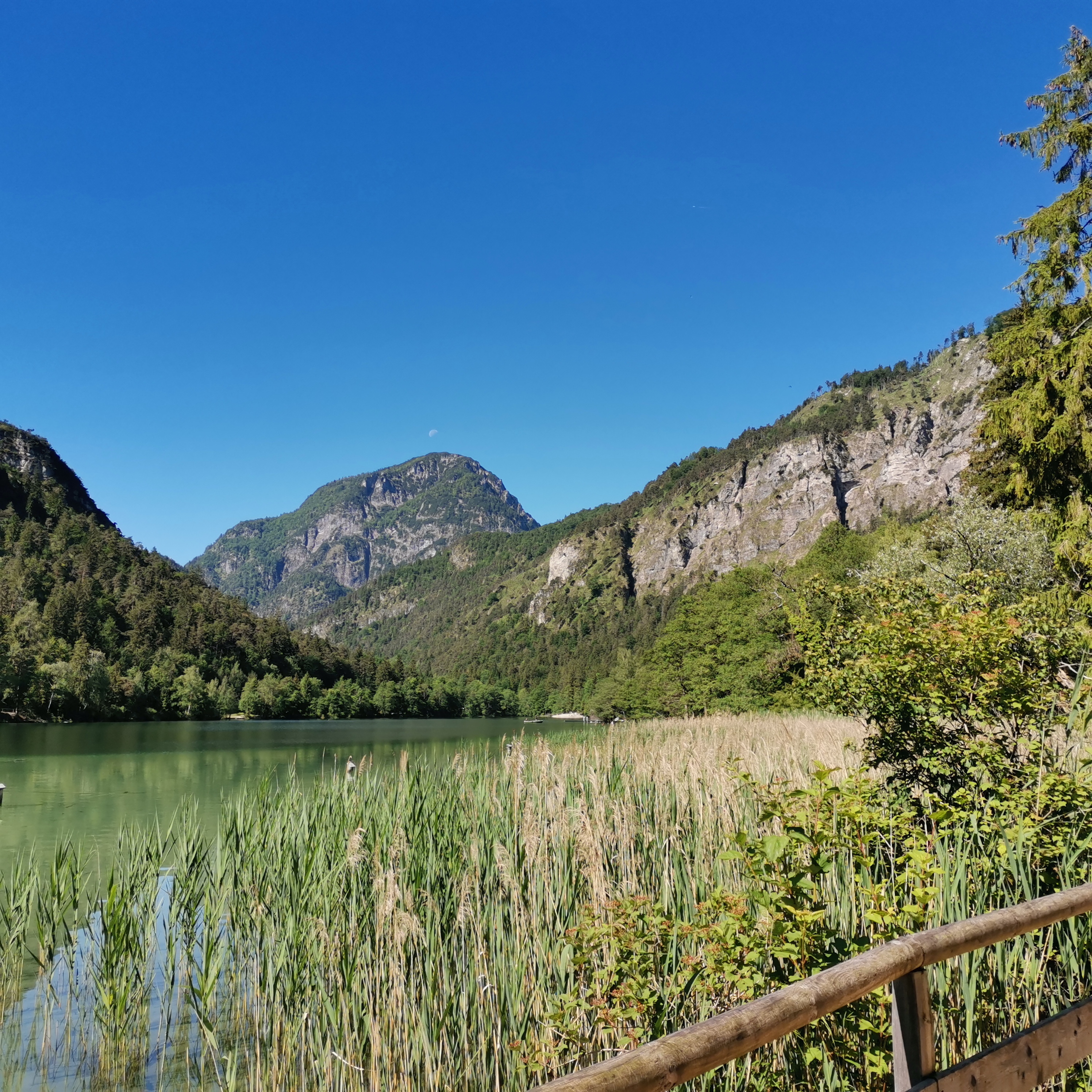 Bild 1 Oechsner Thumsee in Bad Reichenhall