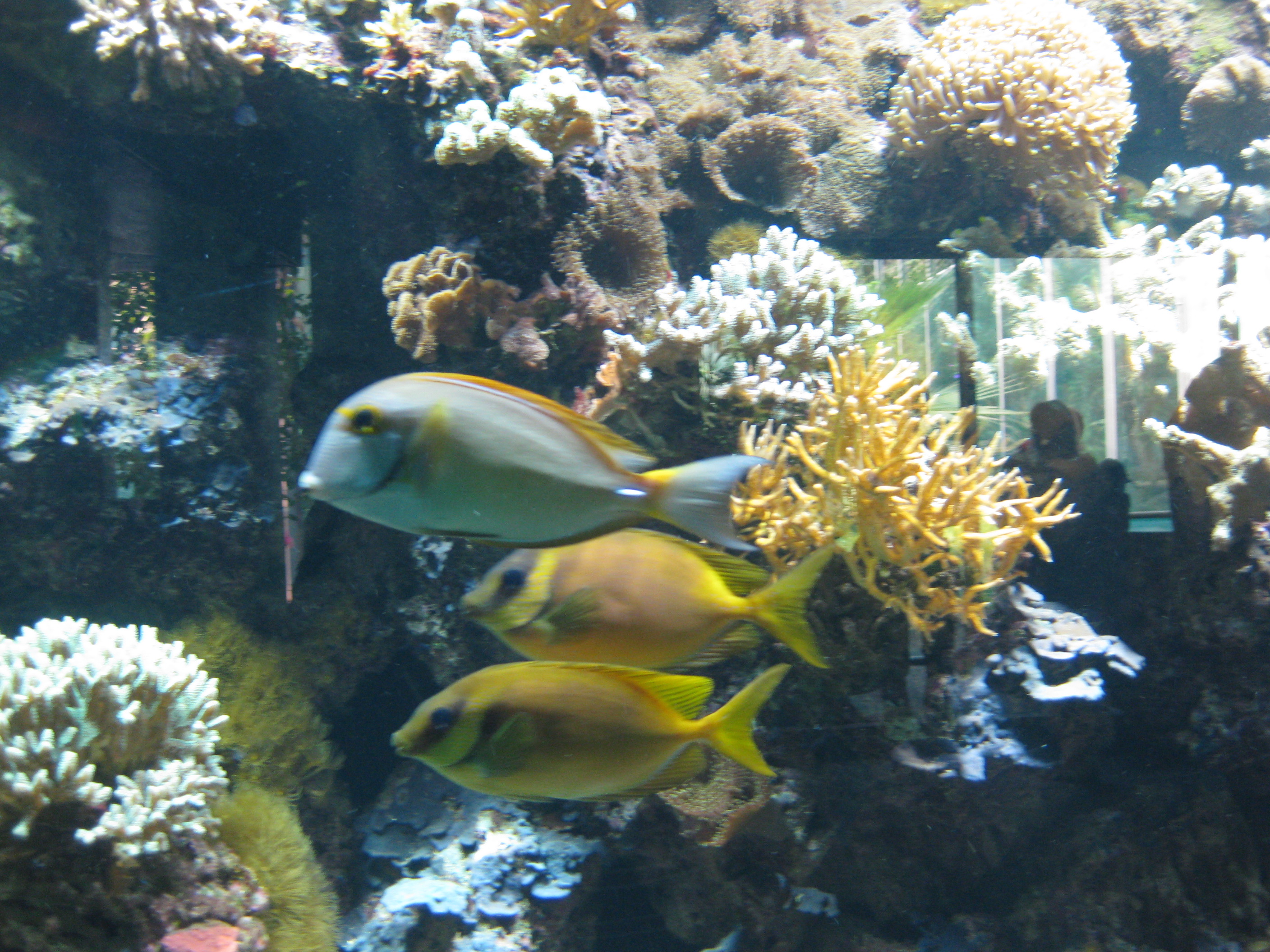Aquarium in Hellabrunn