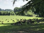 Nutzerbilder Wildpark Poing