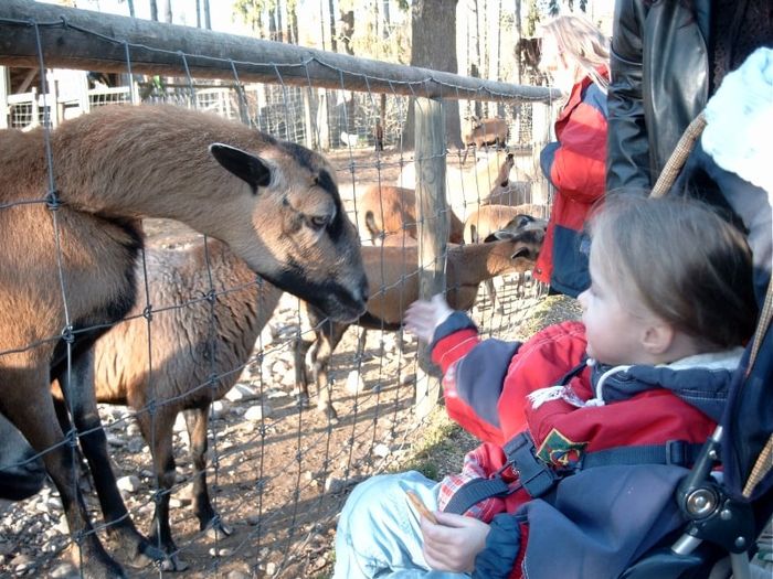 Nutzerbilder Wildpark Poing