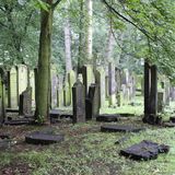 Jüdischer Friedhof Altona in Hamburg
