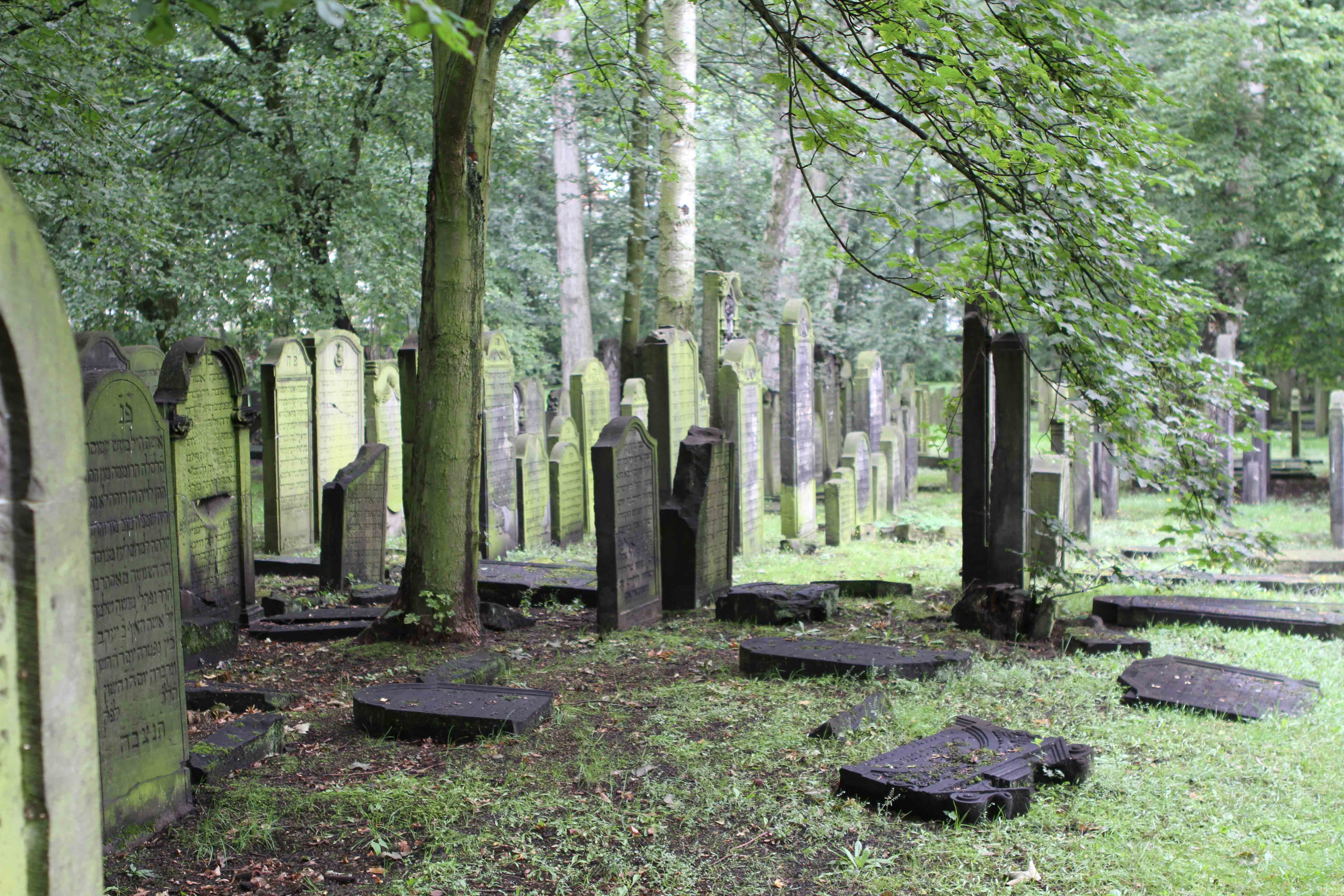 Impression vom jüdischen Friedhof Altona. Toll, dass dieser Friedhof die dunkle Vergangenheit überdauern konnte.