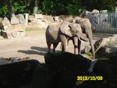 Nutzerbilder Zoo Osnabrück gGmbH