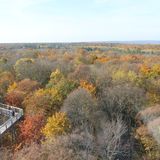 Baumkronenpfad im Nationalpark Hainich in Unstrut-Hainich