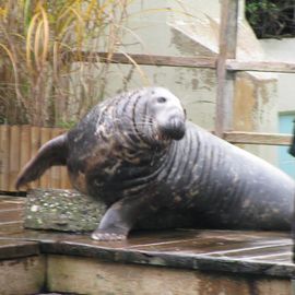 Allwetterzoo in Münster