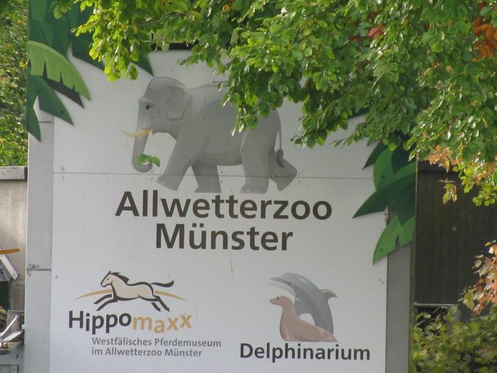 Nutzerbilder Westfälischer Zoologischer Garten Münster GmbH, Allwetterzoo