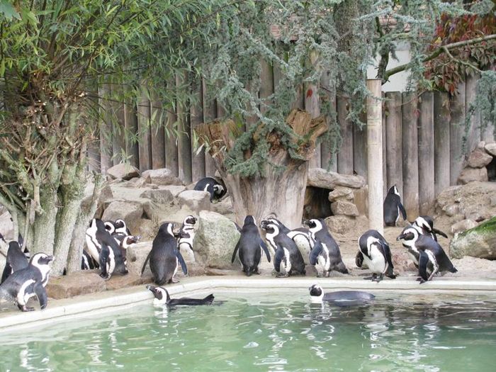 Nutzerbilder Westfälischer Zoologischer Garten Münster GmbH, Allwetterzoo