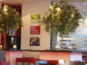 Nutzerbilder City Lounge Cafe u. Restaurant GmbH