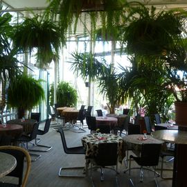 Treibhaus Bistro Café in Pullach im Isartal