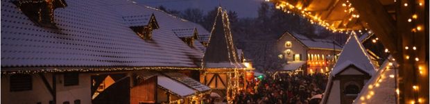 Bild zu Weihnachtsmarkt Schloss Kaltenberg
