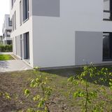 Schmitt Garten-und Landschaftsbau e.K. Baumschule in Effeltrich