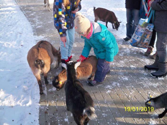 Übergabe der Urkunde für eine Tierpatenschaft .In diesem Fall eine kleine Ziege