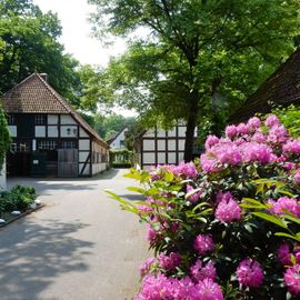 Blick vom Eingang auf die Stallungen