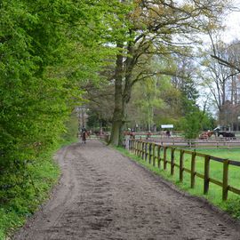 Großzügige Außenanlage mit 2 Dressurplätzen, 1 Springplatz, Strecke mit Geländehindernissen, Galopprunde