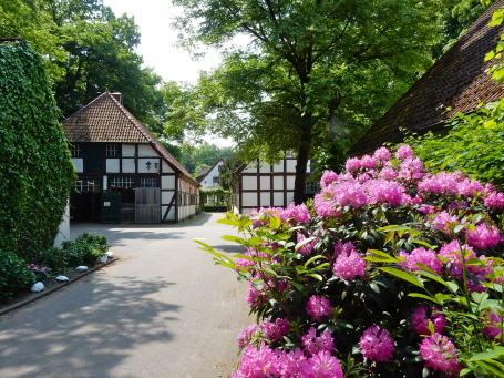 Blick vom Eingang auf die Stallungen