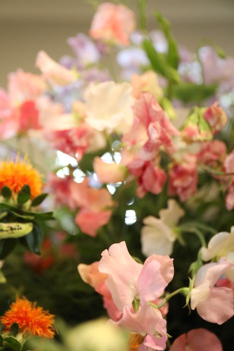 Nutzerbilder Petite Fleur Inh. A. Uslu Blumenfachgeschäft