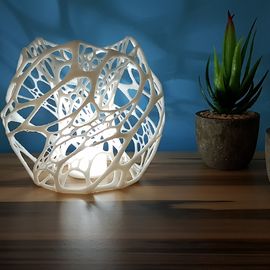 Zellularer/Organischer Lampenschirm aus dem 3D-Drucke
