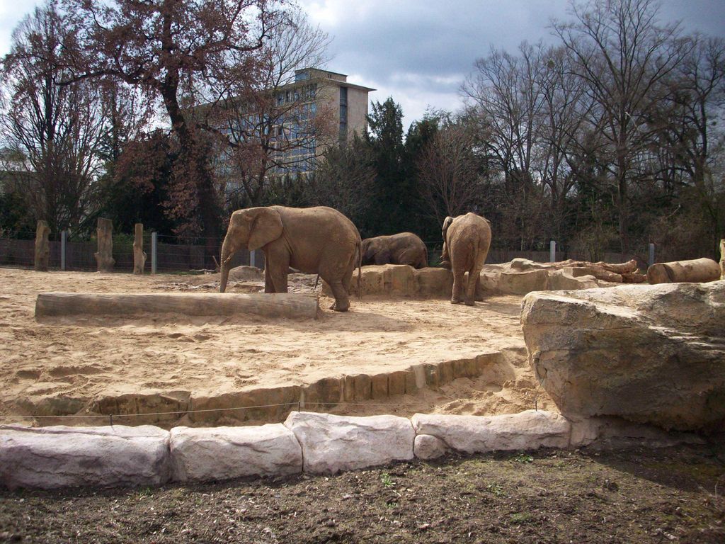 Nutzerfoto 29 Zoologischer Garten