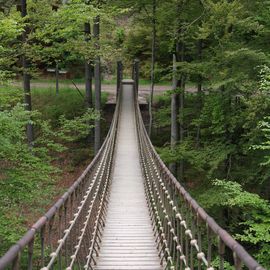 Hängebrücke am Rothaarsteig,- ein großer Spaß 