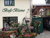 Nutzerbilder BufeBlume Blumeneinzelhandel