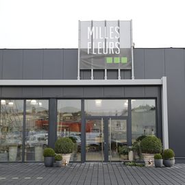 Milles Fleurs | Anna-Zammert-Str. 33 | Hannover 
Neubau Werkstatt, Ausstellungs- und Verkaufraum
Eingangsbereich außen