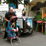 Öko-Wochenmarkt, Ökomarkt Grüne Liga am Kollwitzplatz - Prenzlauer Berg in Berlin