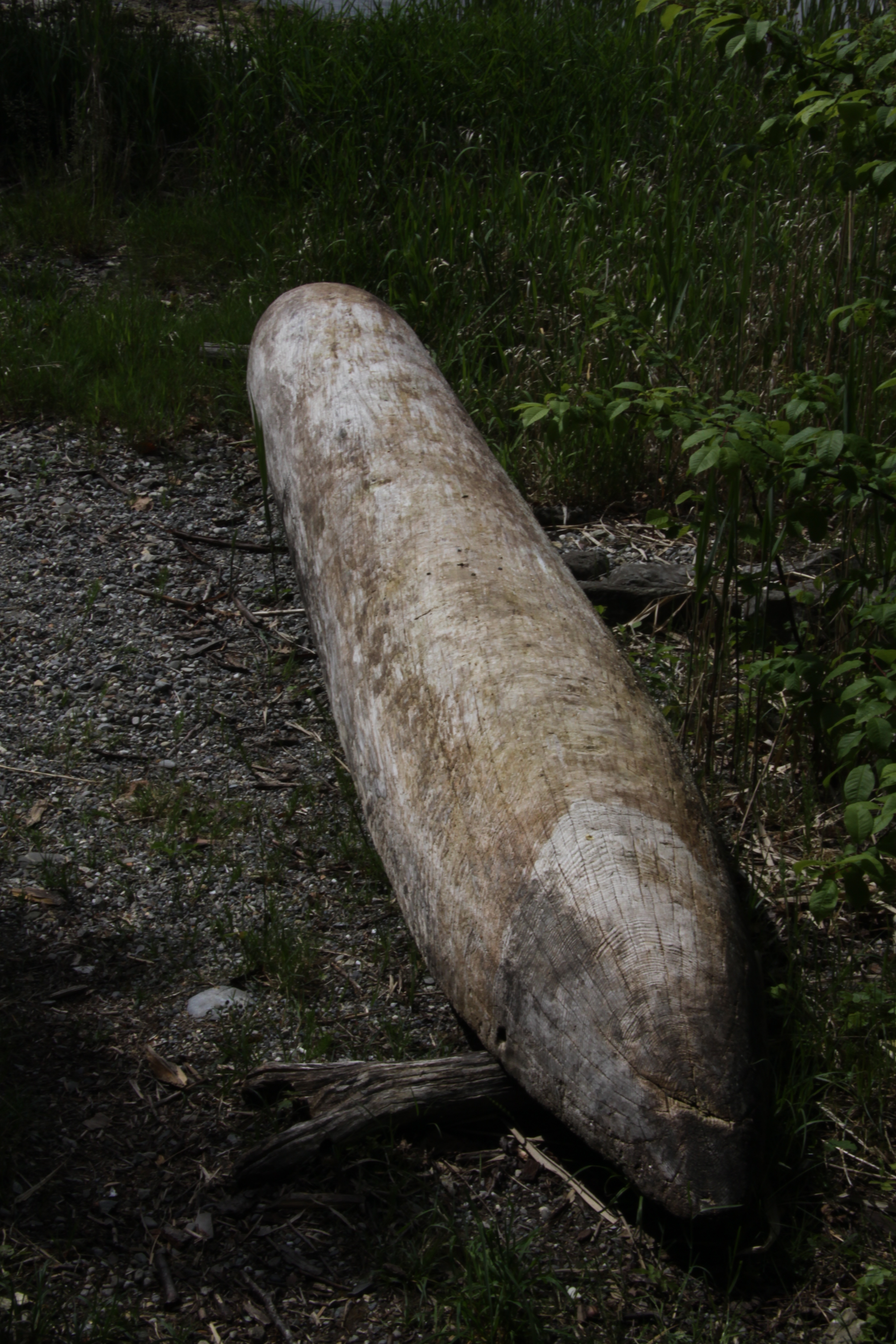 Bild 1 Archäologisches Zentrum Hitzacker in Hitzacker