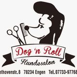 Hundesalon Dog `n Roll in Engen - Der Hundefrsör mit Herz! in Engen im Hegau