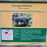 Reptilium Terrarien und Wüstenzoo in Landau in der Pfalz