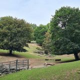 Bergtierpark in Fürth im Odenwald