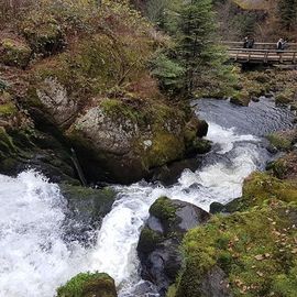 Triberger Wasserfälle in Triberg im Schwarzwald