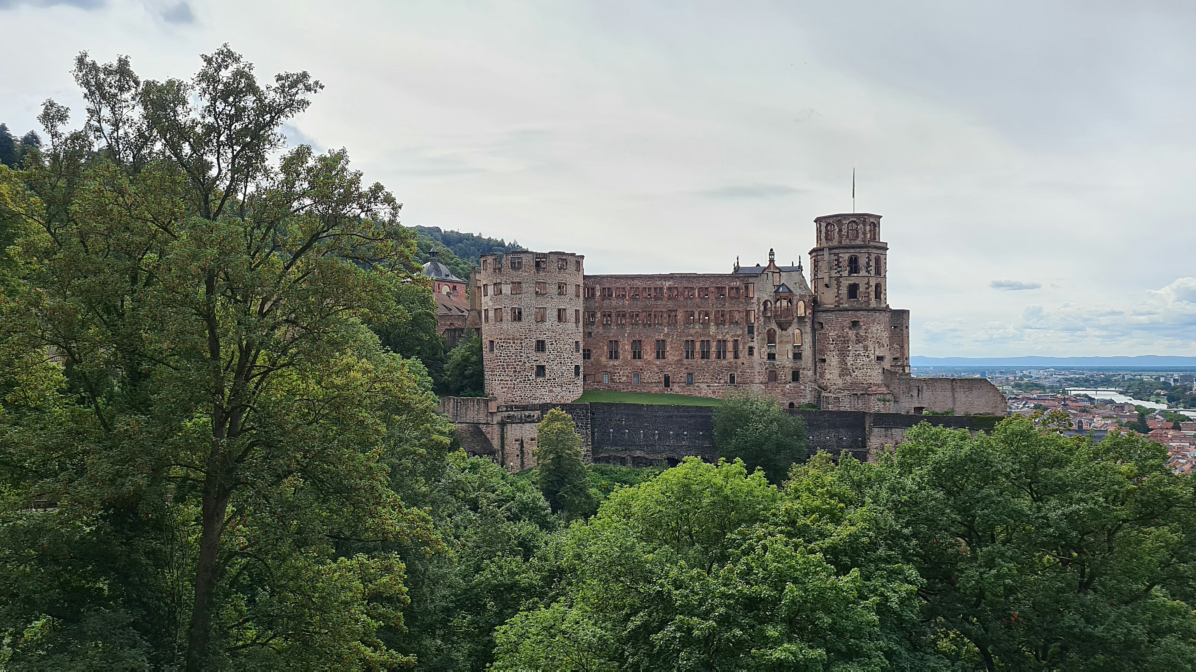 Bild 12 Schloss Heidelberg in Heidelberg
