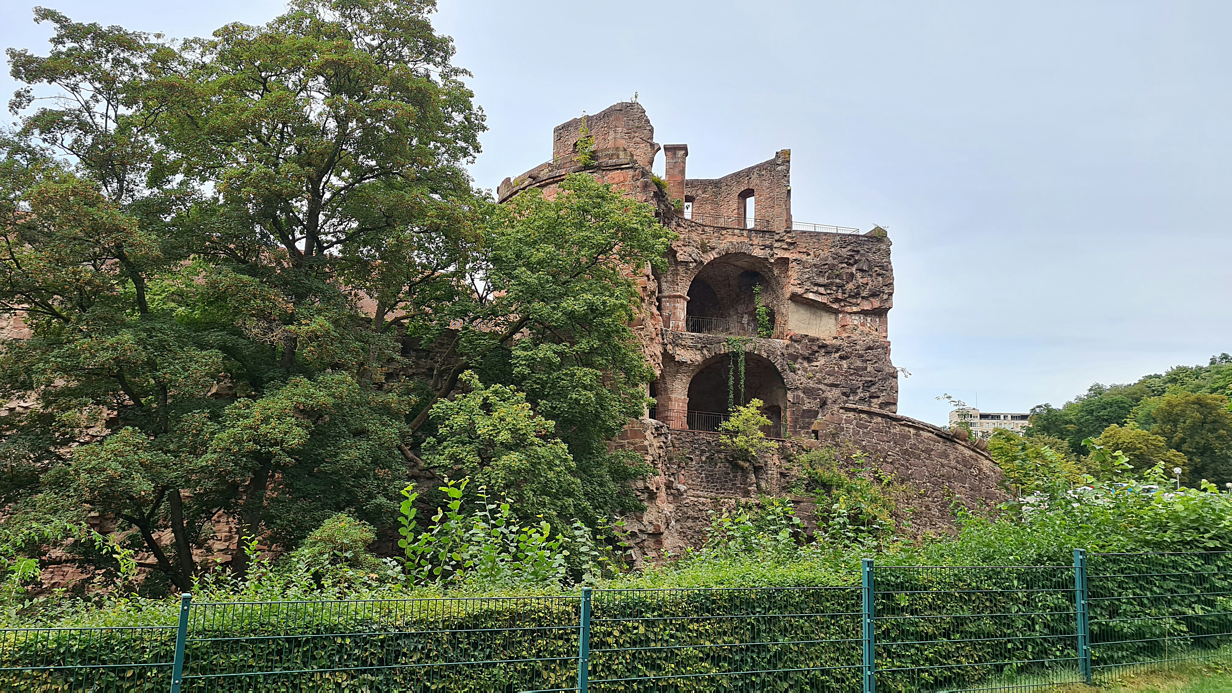 Bild 9 Schloss Heidelberg in Heidelberg