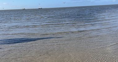 Reitanlage Dreililien Olaf Lilienthal Pferdewirt in Sankt Peter Ording