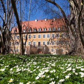 Schloss Blumenthal