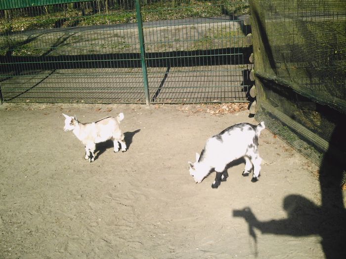 Nutzerbilder Zoo Eberswalde