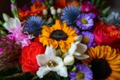 Nutzerbilder Blumen Kluge