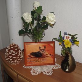 Kleintierbestattung Emily- seit 2009 in Plauen