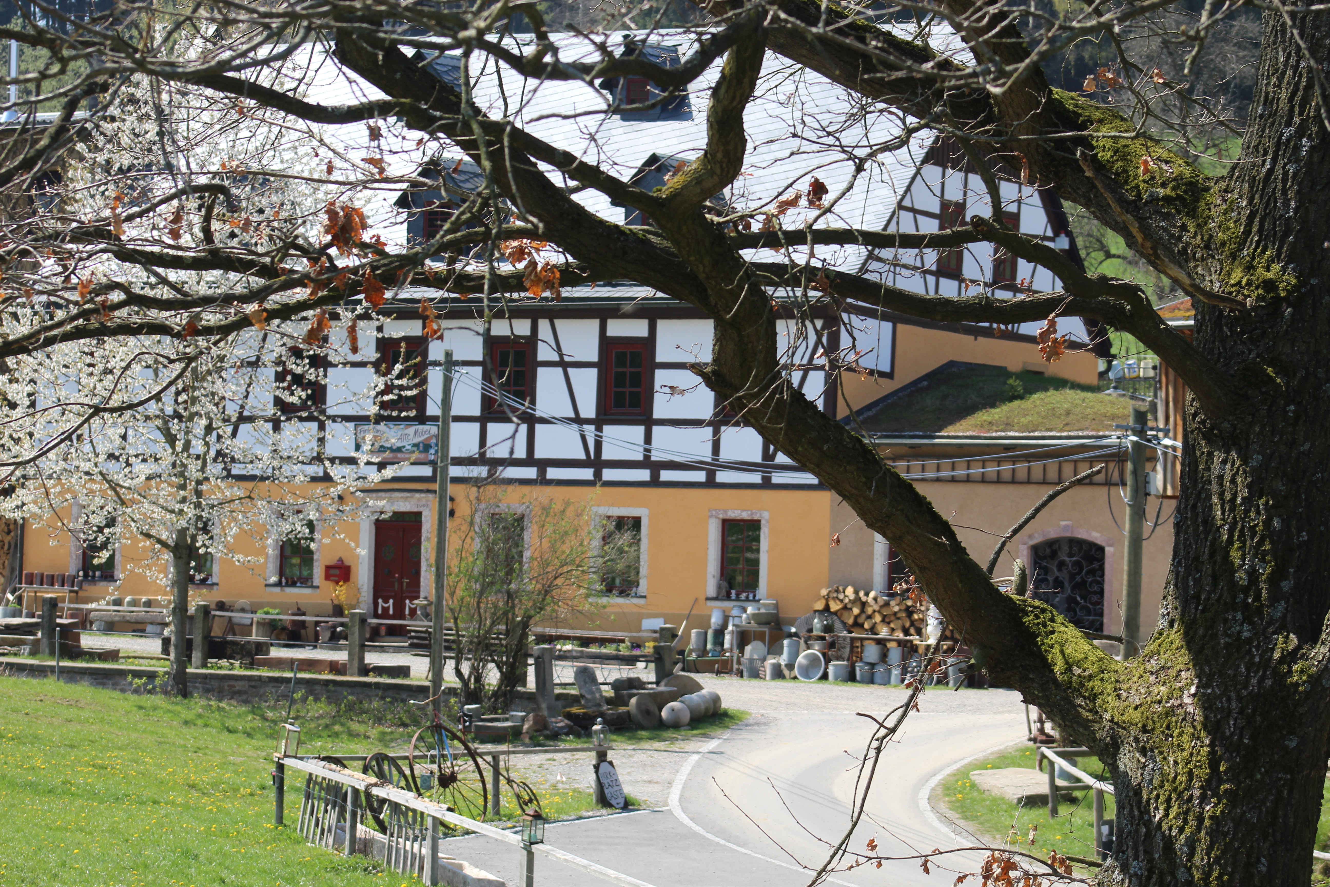 Bild 3 Geisler in Grünhainichen