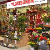 FLORIBUNDA GmbH in Reichenbach im Vogtland