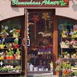 Blumenhaus Ahner Euro Florist in Stollberg im Erzgebirge