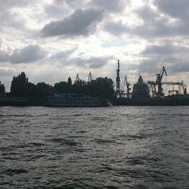 Blick auf die Elbe