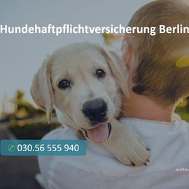 Hundehaftpflichtversicherung Berlin