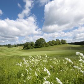 Golfpark Schloss Wilkendorf in Altlandsberg