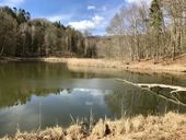 Nutzerbilder Waldschenke am Baa-See