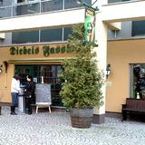 Diebels Fasskeller in Chemnitz in Sachsen
