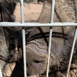 Wild- und Freizeitpark Ostrittum in Dötlingen