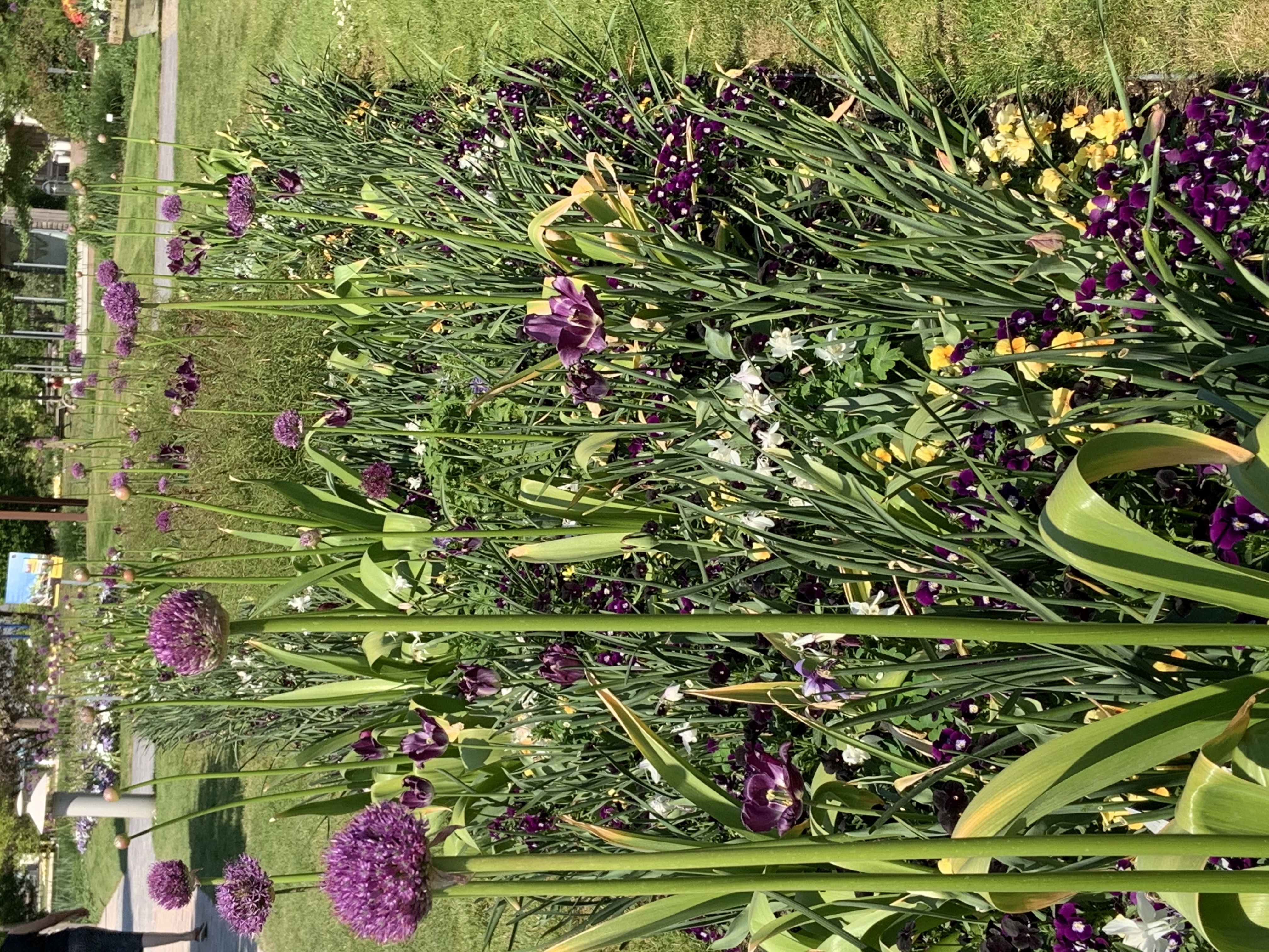 Bild 11 Park der Gärten gGmbH Gartenkulturzentrum Niedersachsen in Bad Zwischenahn